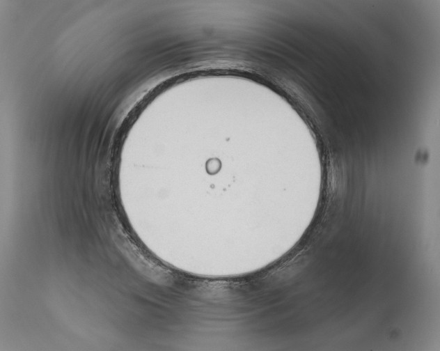 X0000111180828200907151322