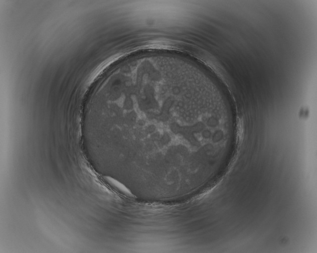 X0000111180829200907151322