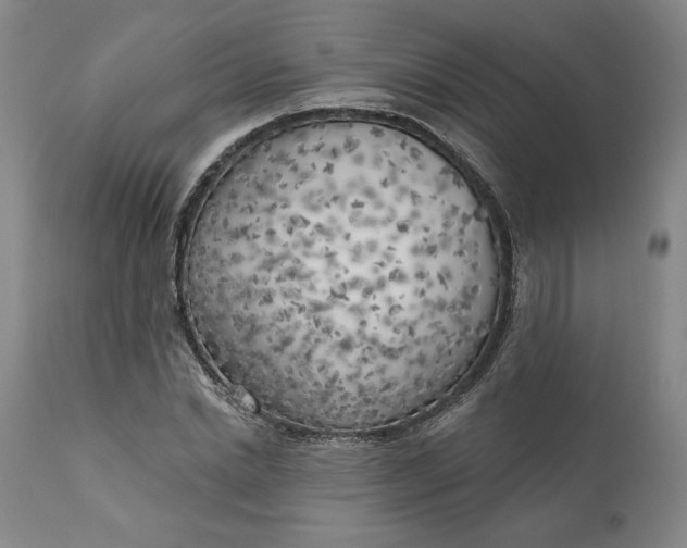 X0000111180830200907151322