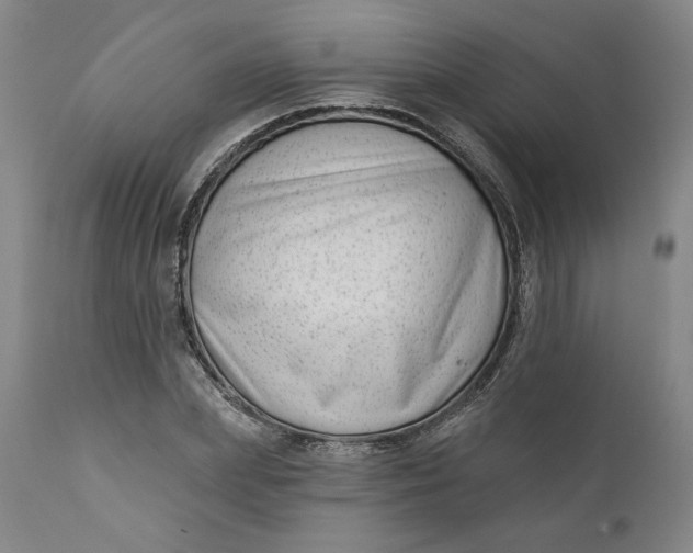 X0000111180831200907151322