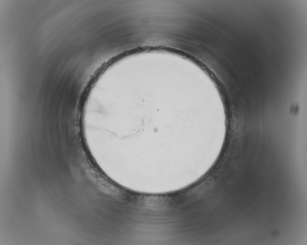 X0000111180832200907151322