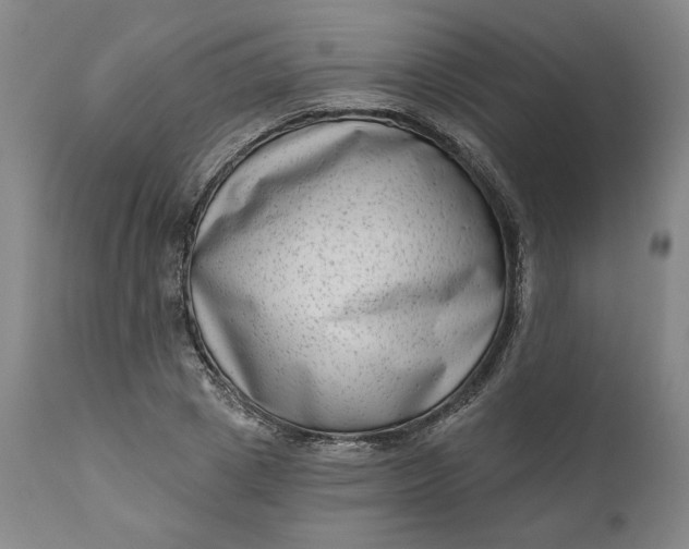 X0000111180833200907151322