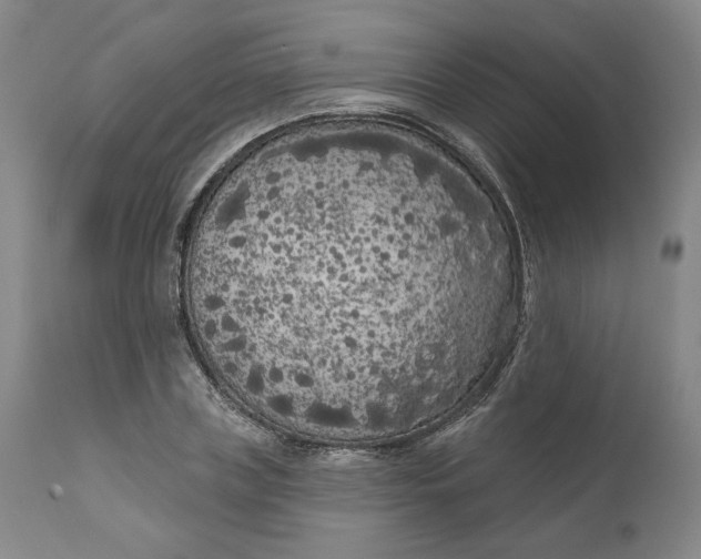 X0000111180835200907151322