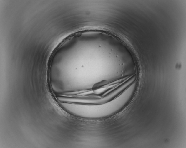 X0000111180836200907151322