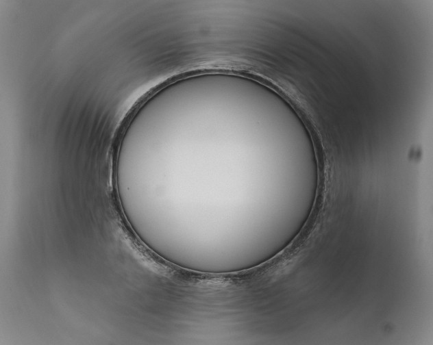 X0000111180838200907151322