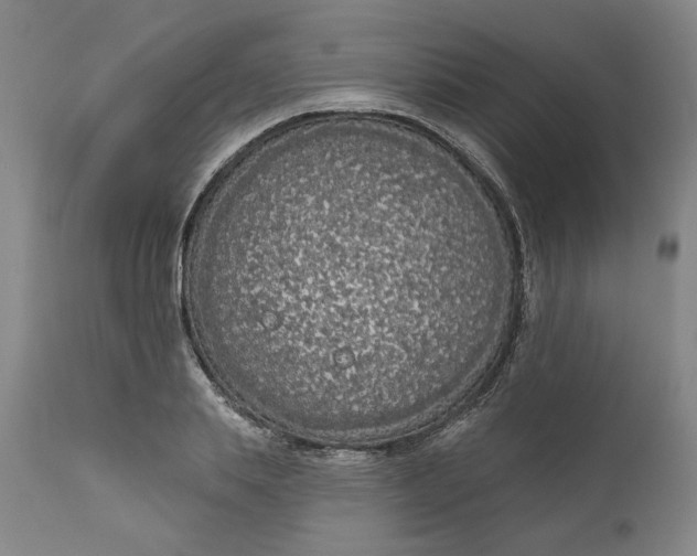 X0000111180839200907151322