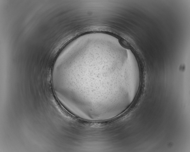 X0000111180841200907151322