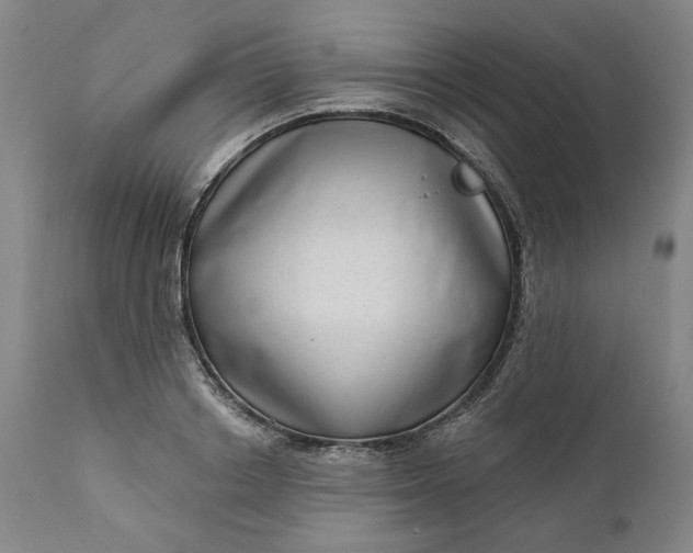 X0000111180842200907151322