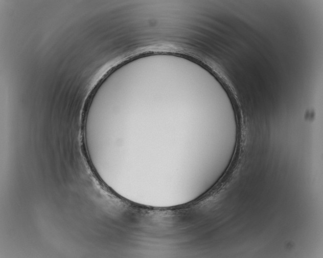 X0000111180845200907151322