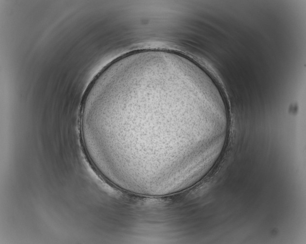 X0000111180847200907151322