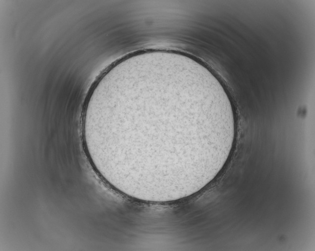 X0000111180848200907151322