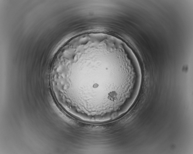 X0000111180851200907151322