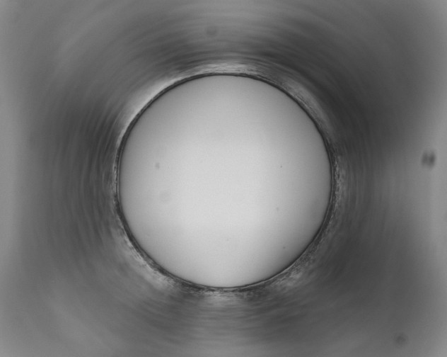 X0000111180852200907151322