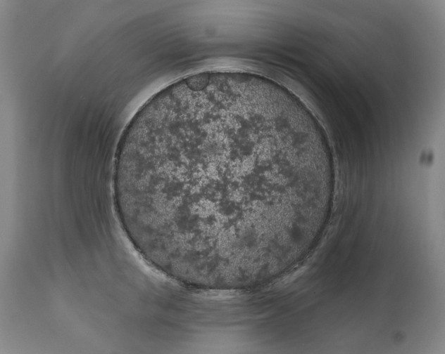 X0000111180853200907151322