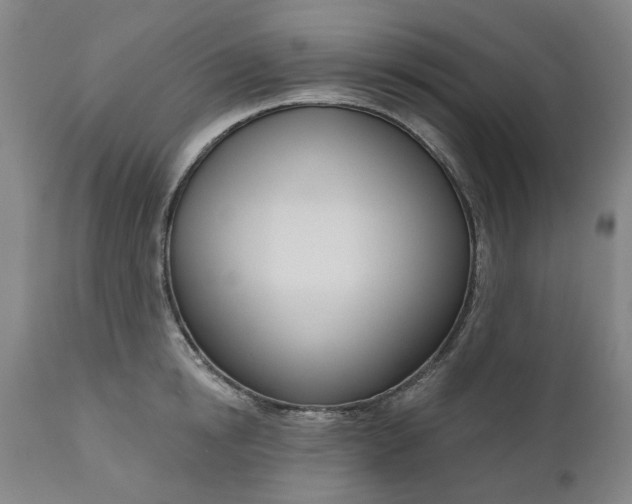 X0000111180854200907151322