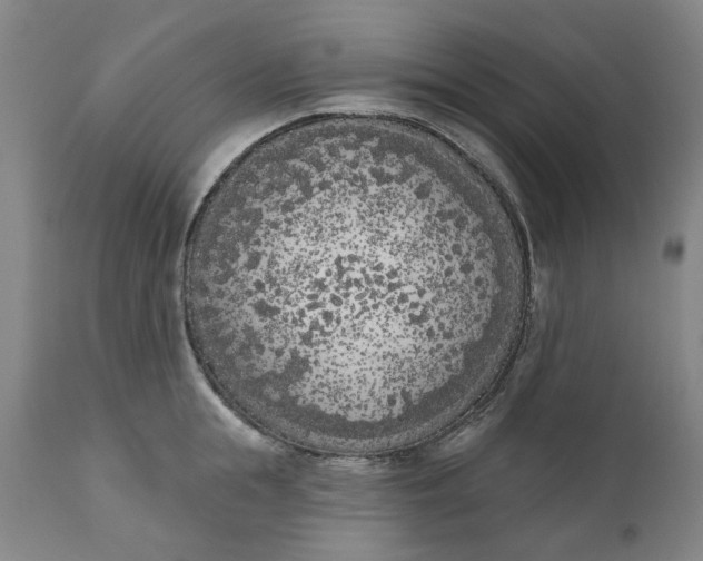 X0000111180855200907151322