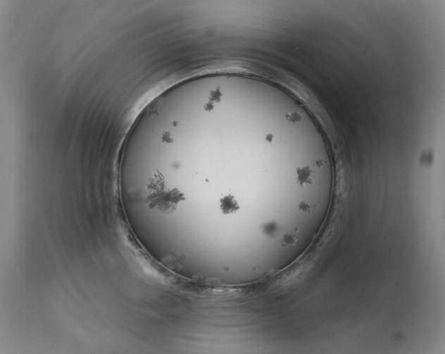 X0000111180858200907151322