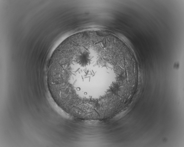 X0000111180859200907151323