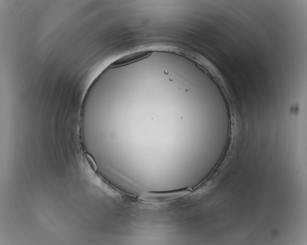 X0000111180860200907151323