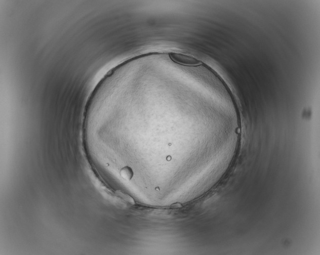 X0000111180861200907151323