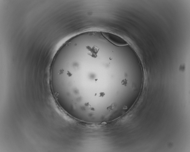 X0000111180862200907151323