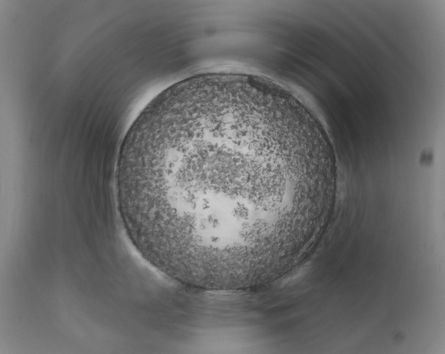 X0000111180863200907151323