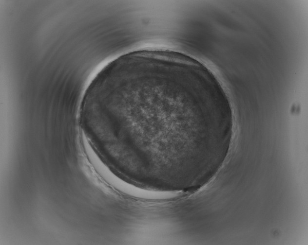 X0000111180864200907151323