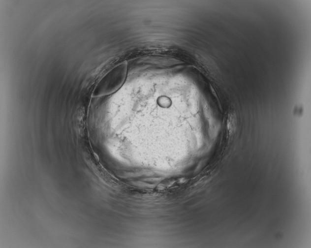 X0000111180867200907151321