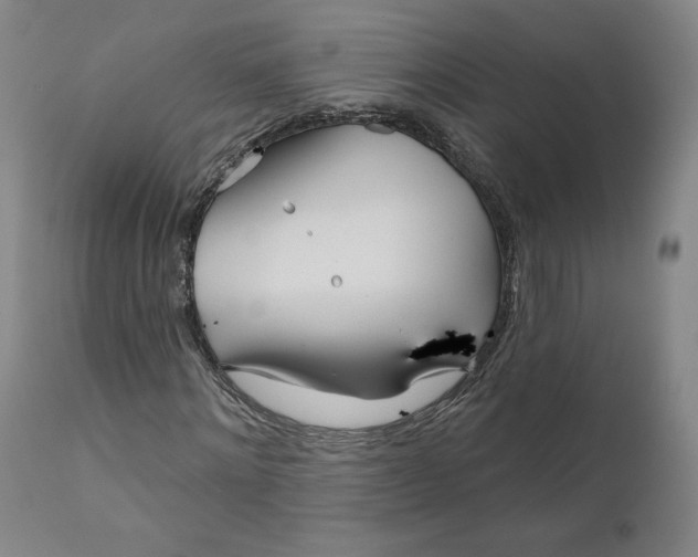 X0000111180868200907151321