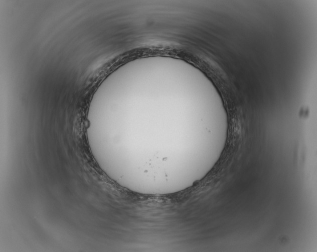 X0000111180869200907151321