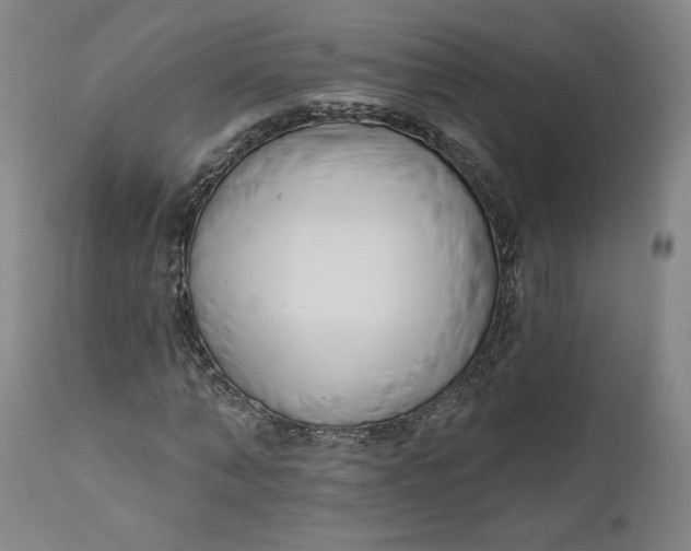 X0000111180870200907151321