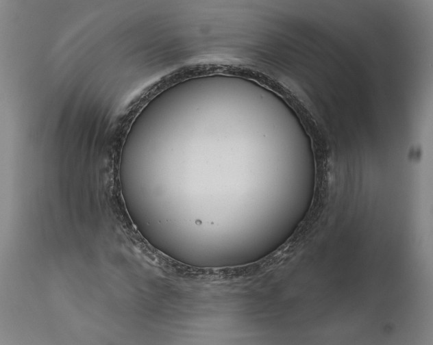 X0000111180872200907151321