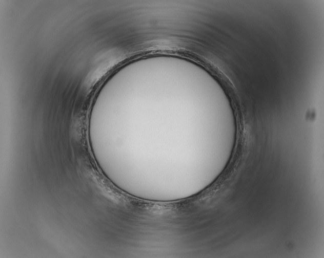 X0000111180874200907151321