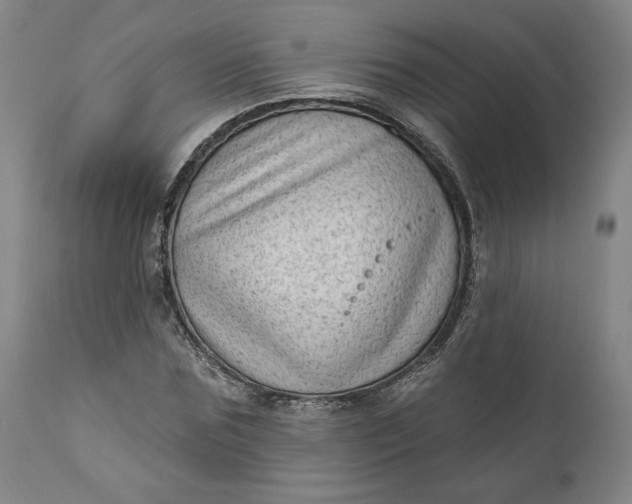 X0000111180875200907151321