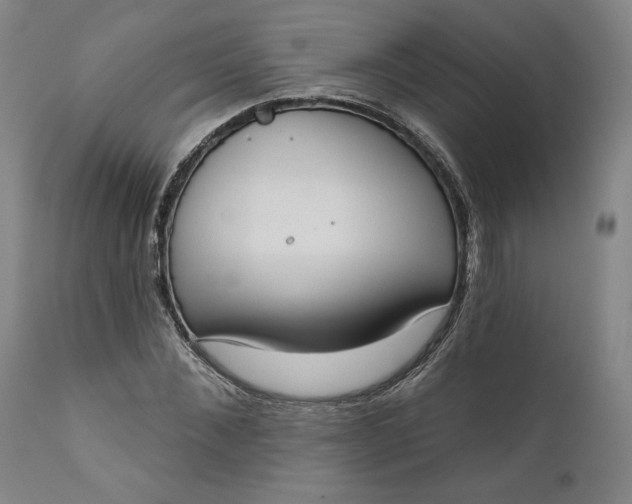 X0000111180876200907151321