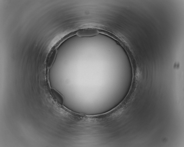 X0000111180877200907151321