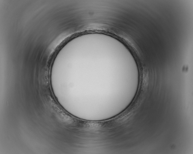 X0000111180878200907151321