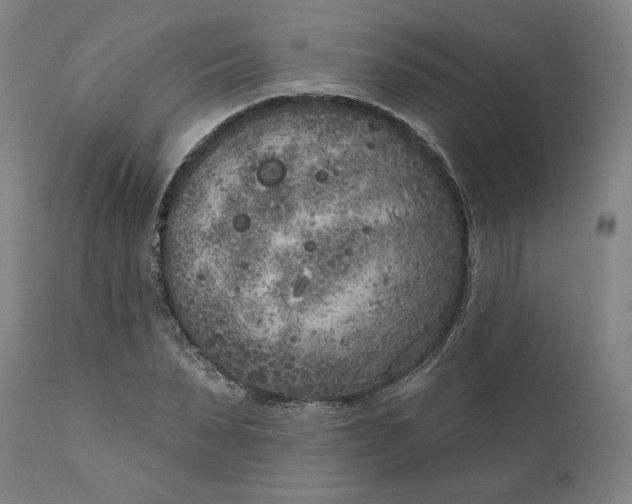 X0000111180879200907151321