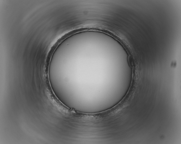 X0000111180880200907151321