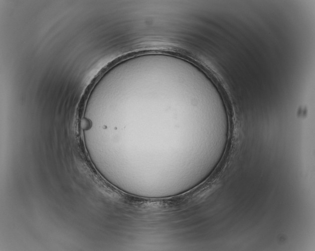 X0000111180883200907151321