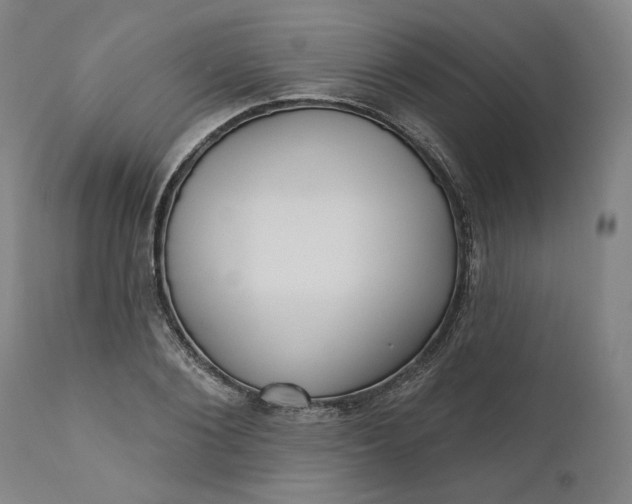 X0000111180884200907151321