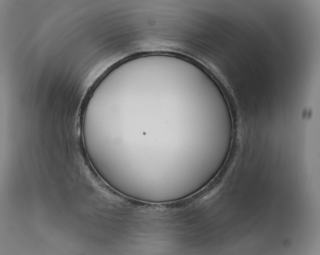 X0000111180885200907151321