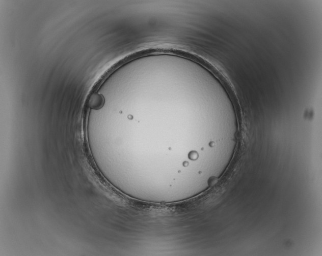 X0000111180887200907151321