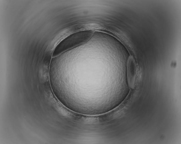 X0000111180889200907151321