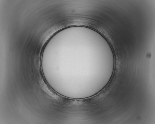 X0000111180890200907151321