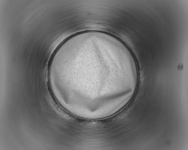 X0000111180891200907151321