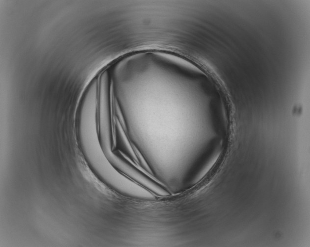 X0000111180892200907151321