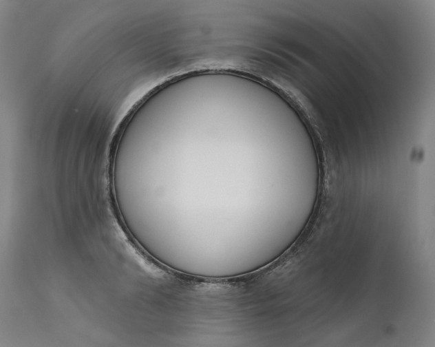 X0000111180894200907151321