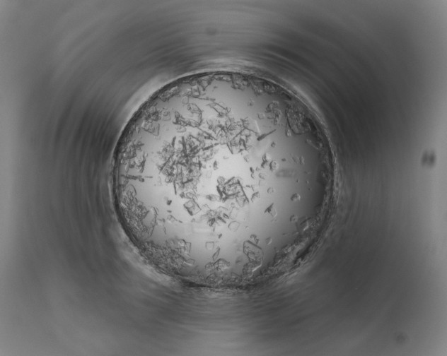 X0000111180899200907151321