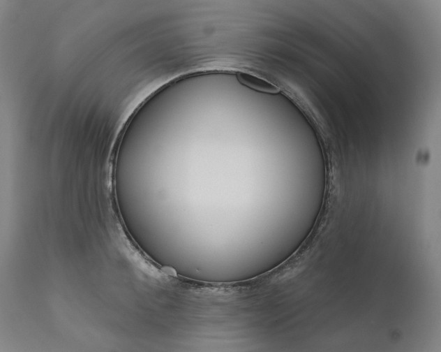 X0000111180900200907151321